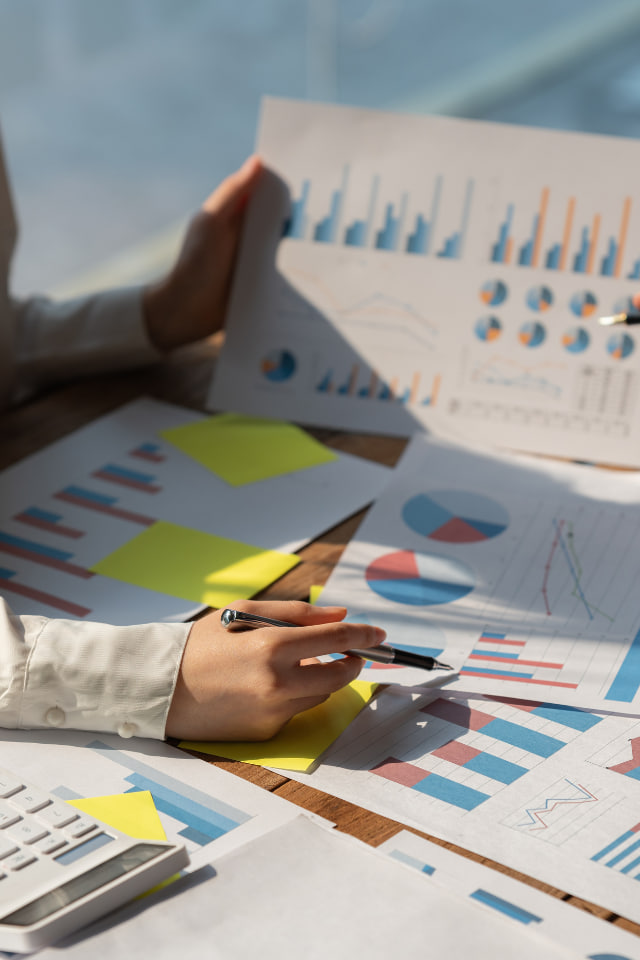 Blue Rhino digital marketing solutions Mysuru
